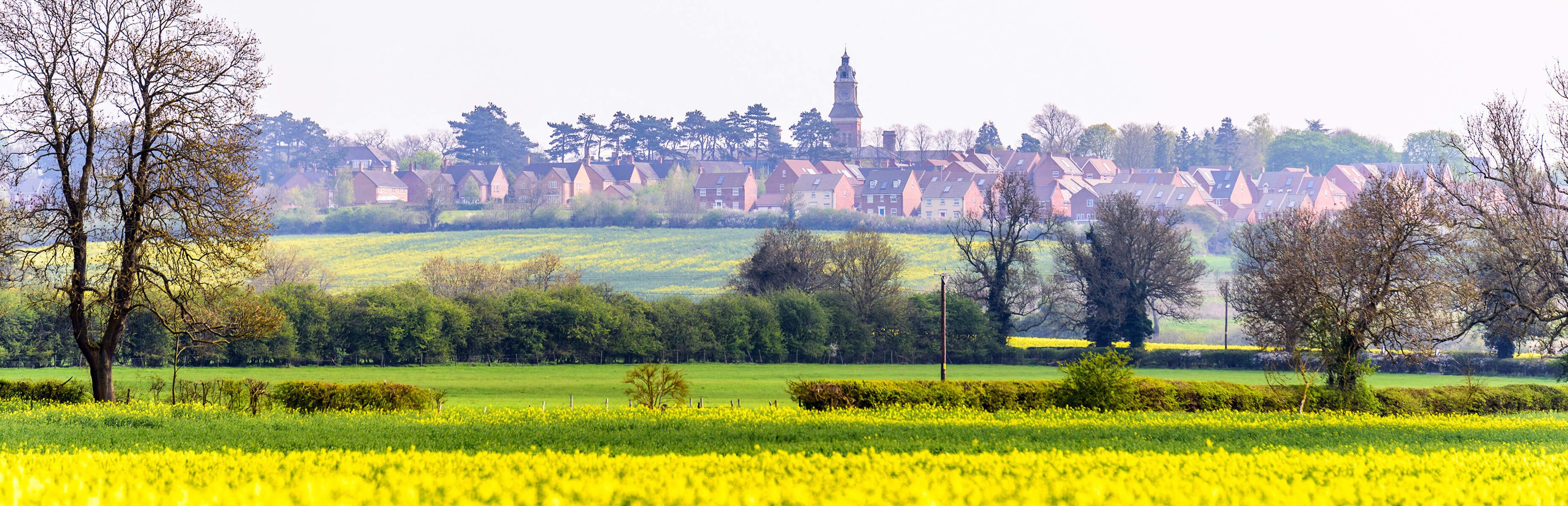 land acquisition image of a greenfield site up for sale